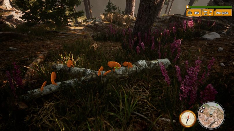 Tražite rijetke gljive i životinje u realističnoj simulaciji Morels: The Hunt 2