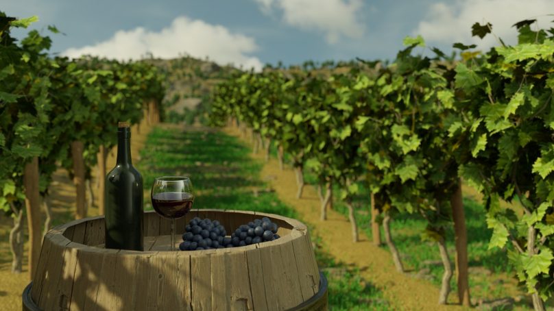 Proizvodite vrhunsko vino u igri Winery Simulator